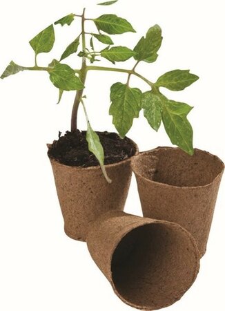 8cm Square Fibre Pots 12Pk -Image courtesy of Unichem