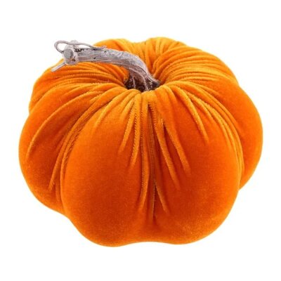 Velvet Pumpkin (28cm)
