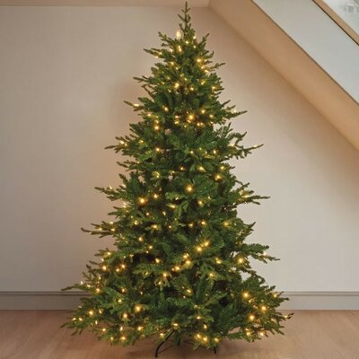 Image courtesy of Smart Garden Products