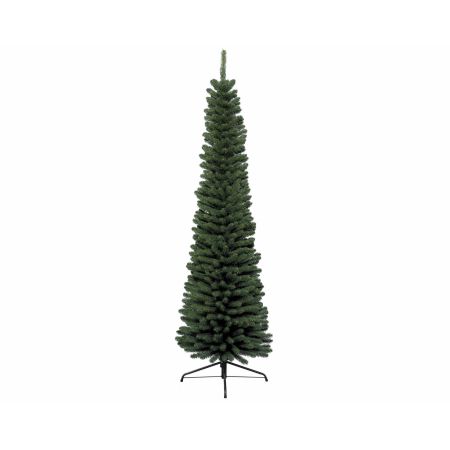 9ft Pencil Pine tree