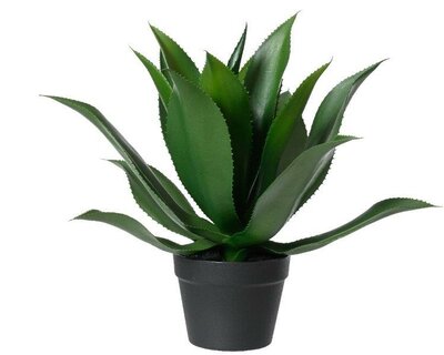 Agave in pot (faux)