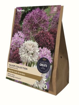 Allium Collection - Image courtesy of Taylor's Bulbs
