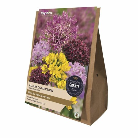 Allium Collection (40 bulbs)