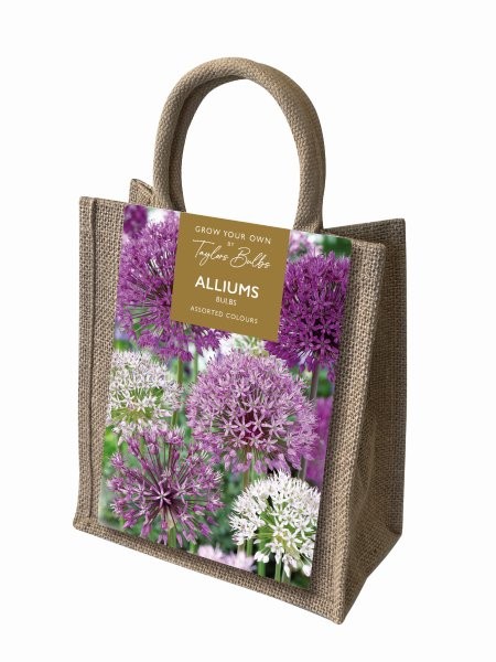 Allium Jute Gift Bag (15 bulbs)