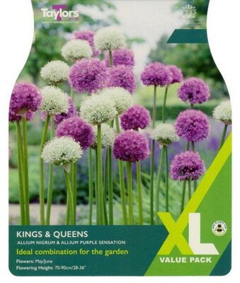 Allium Kings & Queens XL - Image courtesy of Taylors Bulbs