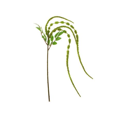 Amaranthus Spray Green