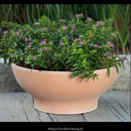 Antique Euro Bowl