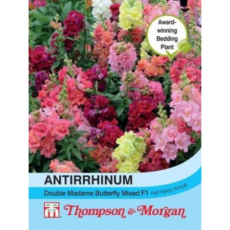 Antirrhinum Double Madam Butterfly Mixed