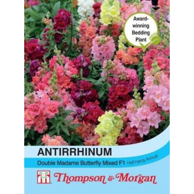 Antirrhinum Double Madam Butterfly Mixed
