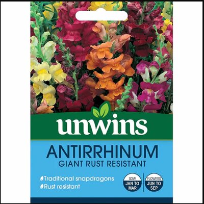 Antirrhinum Giant Rust Resistant - image 1