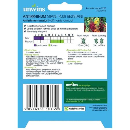 Antirrhinum Giant Rust Resistant - image 2