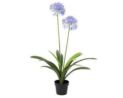 Artificial agapanthus in pot, blue