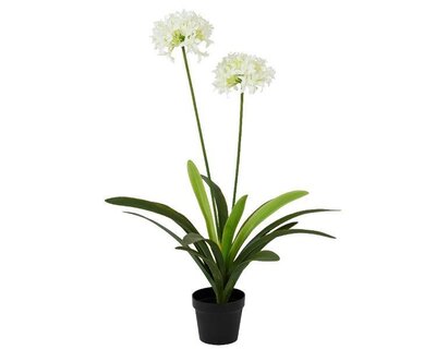 Artificial agapanthus in pot, white