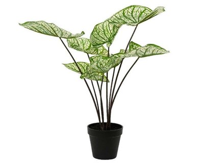 Artificial Caladium Plant - image 1