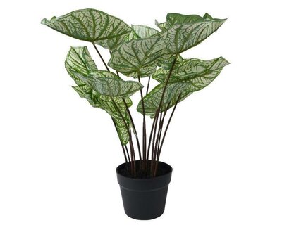 Artificial Caladium Plant
