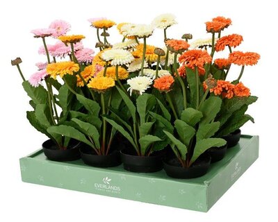 Artificial Chrysanthemum in pot - image 2