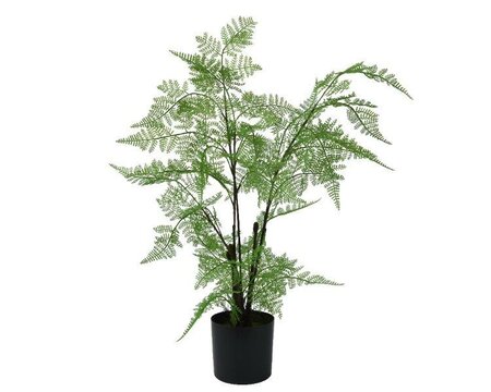 Artificial Fern in pot