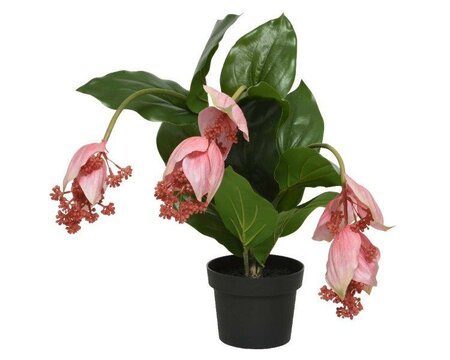 Artificial Medinilla in pot - image 1