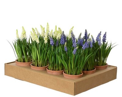 Artificial muscari -Image courtesy of Kaemingk