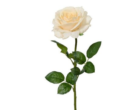 Artificial  rose on stem
