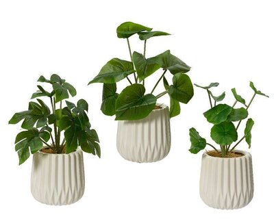 Artificial scindapsus, lotus leaf  or monstera - image 1