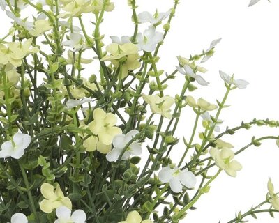 Artificial small flower in pot -Image courtesy of Kaemingk