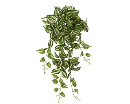 Artificial tradescantia -Image courtesy of Kaemingk