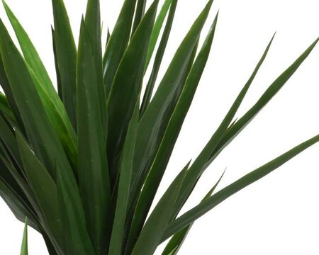 Artificial Yucca in pot - image 2