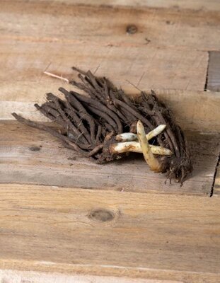 Image courtesy of Allied Irish Growers