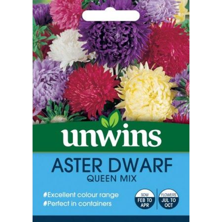 Aster Dwarf Queen Mix