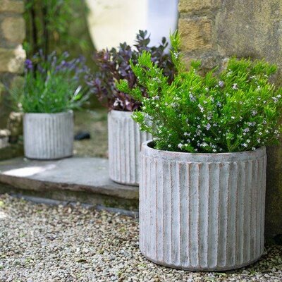 Athena Cylinder Grey (19cm dia.)