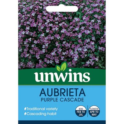 Aubrieta Purple Cascade (200) - image 2