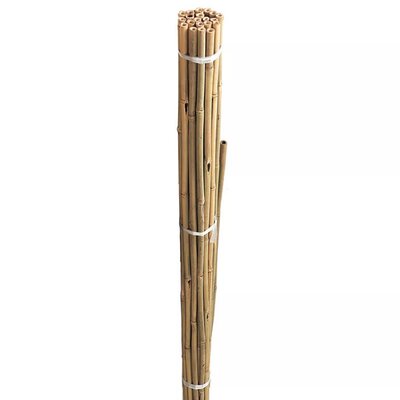 3ft Bamboo Canes Bulk Bundle 20 pack