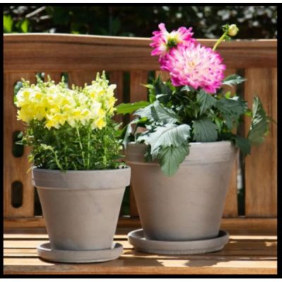 Basalt Clay Standard Pot