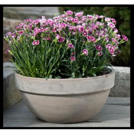 Basalt Levy Bowl (26cm dia.)