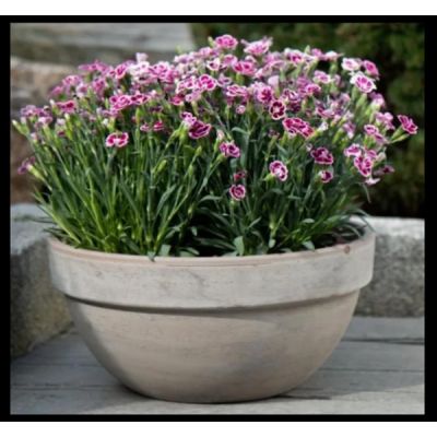 Basalt Levy Bowl (26cm dia.)