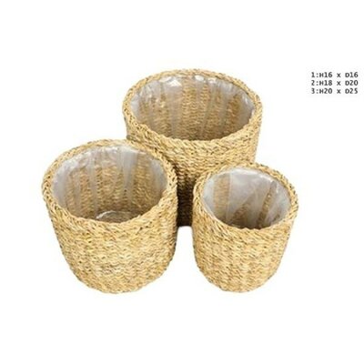 Basket Manatee (16cm dia.)