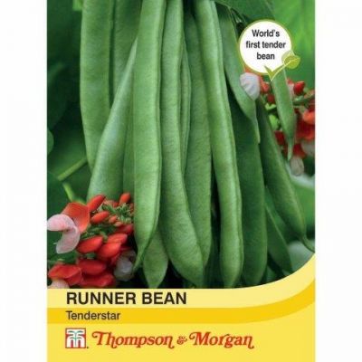 Bean Runner Tenderstar