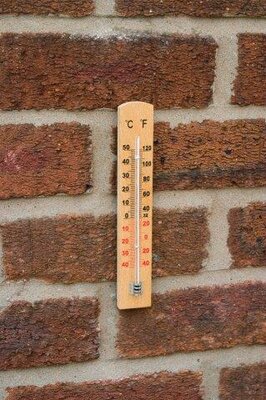 Beech Wall Thermometer