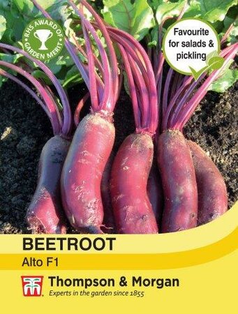 Beetroot Alto F1 Hybrid - image 1