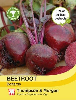 Beetroot Boltardy - image 1