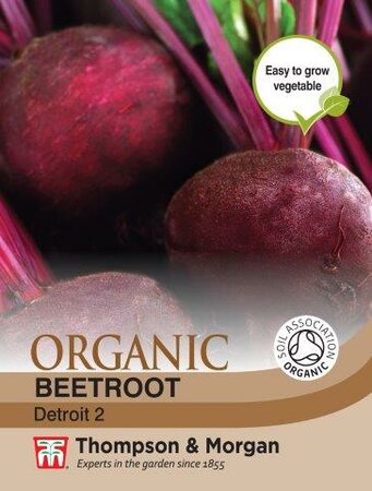 Beetroot “Detroit 2” Organic - image 1