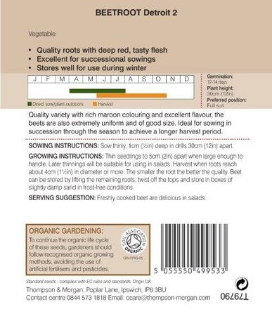 Beetroot “Detroit 2” Organic - image 2