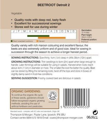 Beetroot “Detroit 2” Organic - image 2