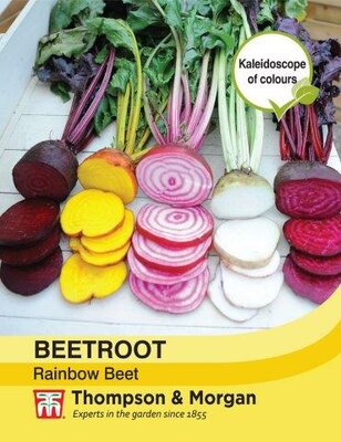 Beetroot “Rainbow Beet” - image 1