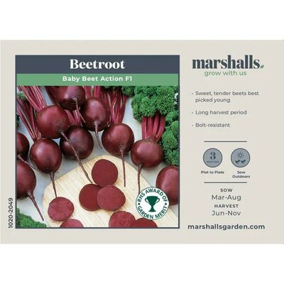 Beetroot (Round) Baby Beet Action F1 - Image courtesy of Unwins