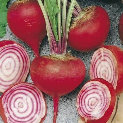 Beetroot (Round) Chioggia