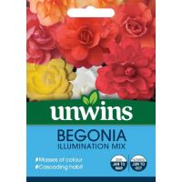 Begonia Illuminations Mix