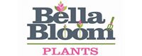 Bella Bloom