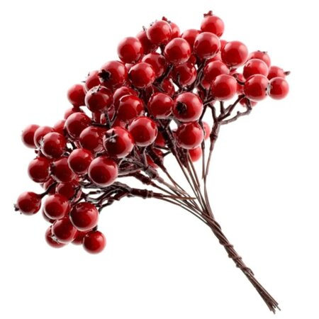 Berry Bundle with Hip (14cm)